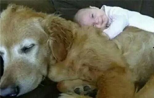 倒头就睡不醒网红是谁,揭秘网络红人的睡眠秘密