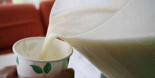 吃鸡瓜喝豆浆,吃鸡瓜，饮豆浆，健康生活每一天