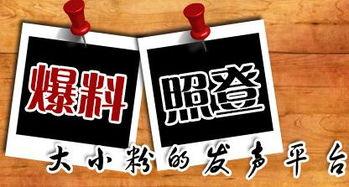 巡茶最新爆料新闻,最新爆料事件深度解析