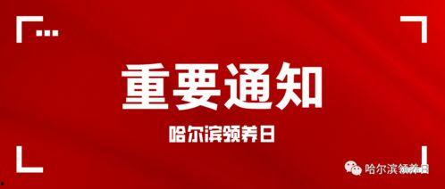 深圳今日头条外包工,幕后英雄的奋斗与挑战