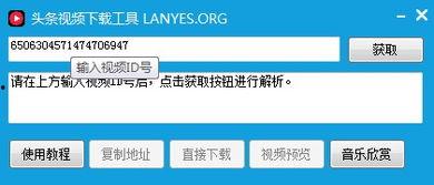 电脑版下载头条视频,轻松保存精彩瞬间