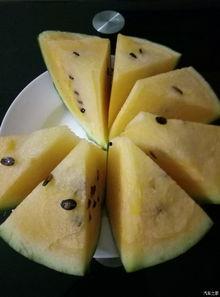 汽车站吃瓜,揭秘车站美食文化新风尚