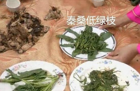网红怎么吃野餐图片,跟随潮流，解锁户外美食新姿势